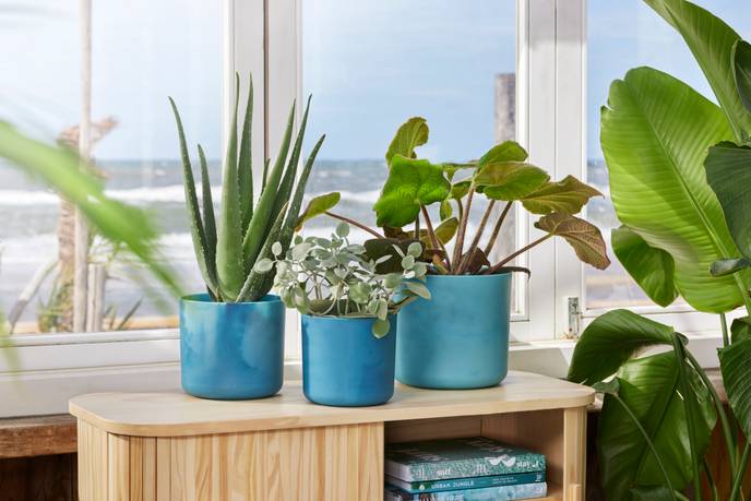 the ocean collection round 16cm atlantic blue
